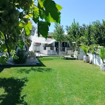 Villa Dina Chania  Exterior photo