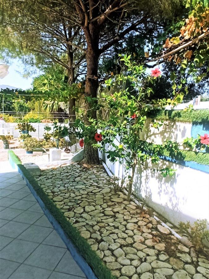 Villa Dina Chania  Exterior photo